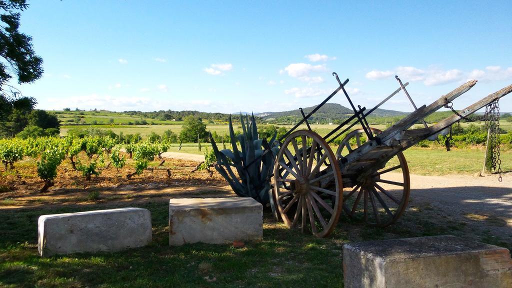 Chateau Le Vergel Authenac Ginestas Номер фото